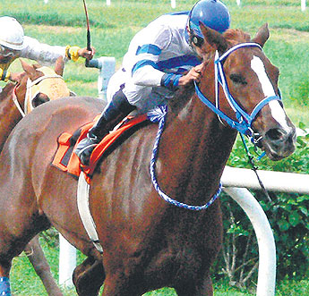 haga click para ampliar la imagen