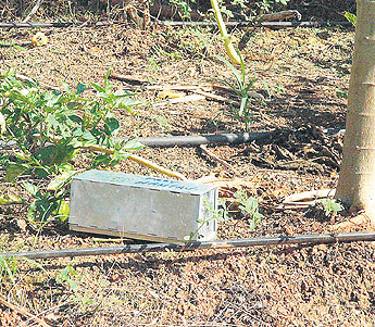 haga click para ampliar la imagen