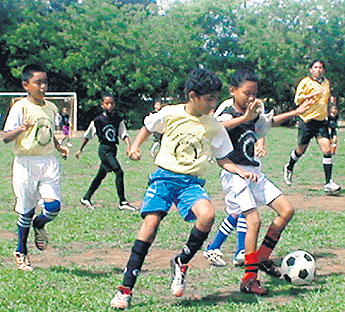 haga click para ampliar la imagen