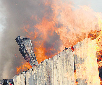 haga click para ampliar la imagen