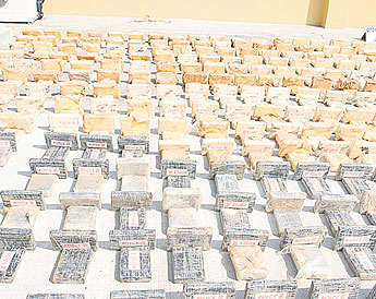 haga click para ampliar la imagen