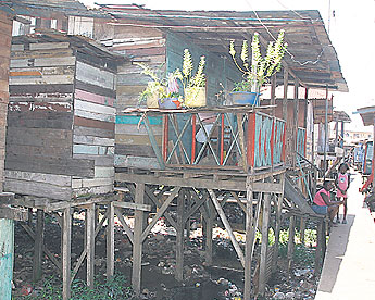 haga click para ampliar la imagen