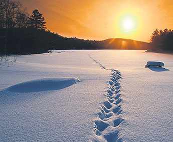 haga click para ampliar la imagen